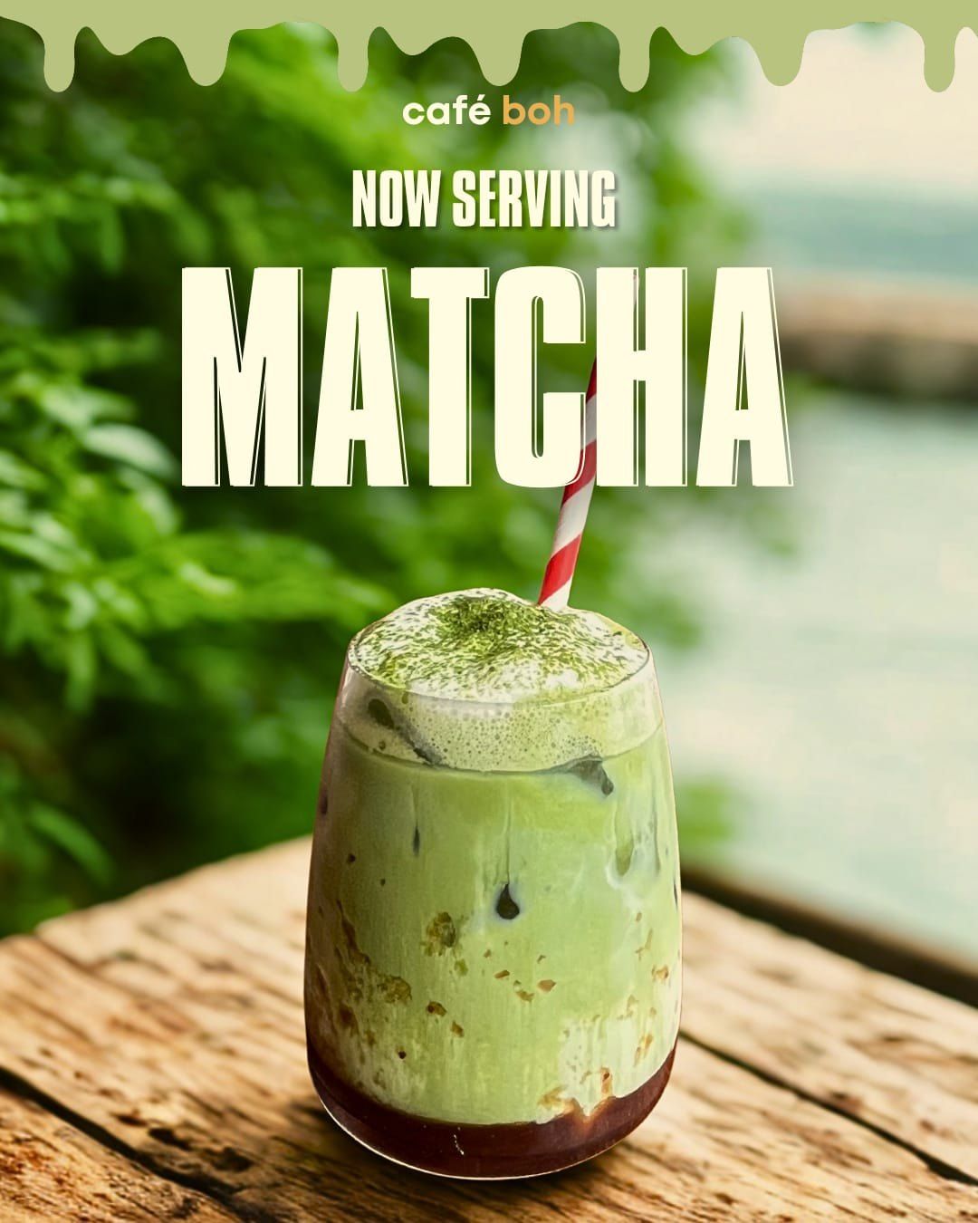 Green matcha and colourful tea drinks